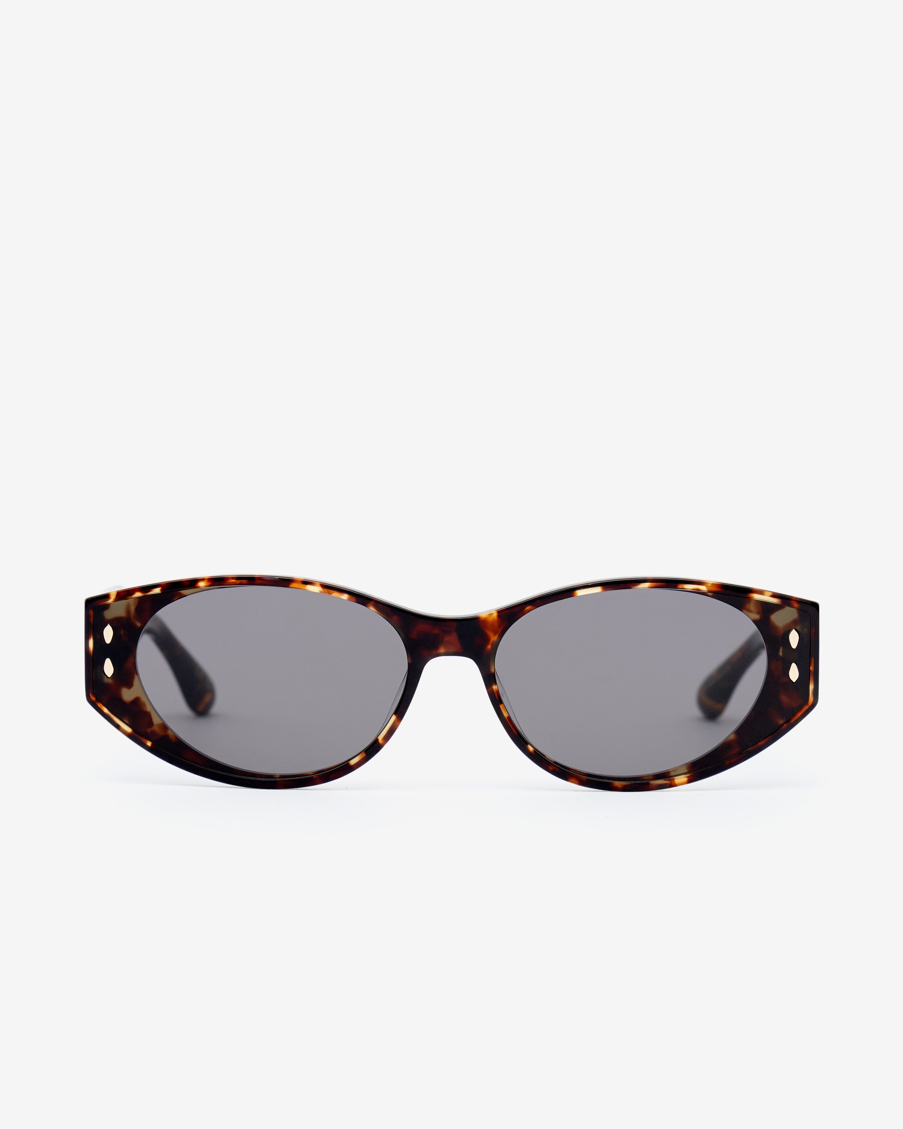 Emely サングラス Woman Havana/grey 1