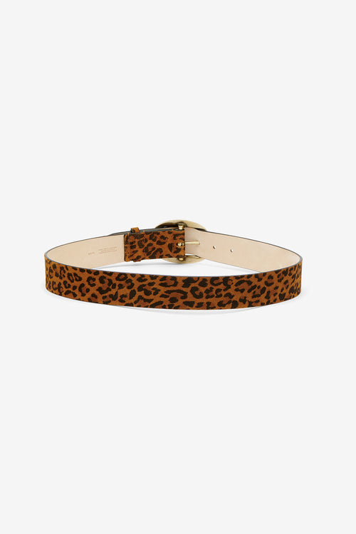 DARAH BELT