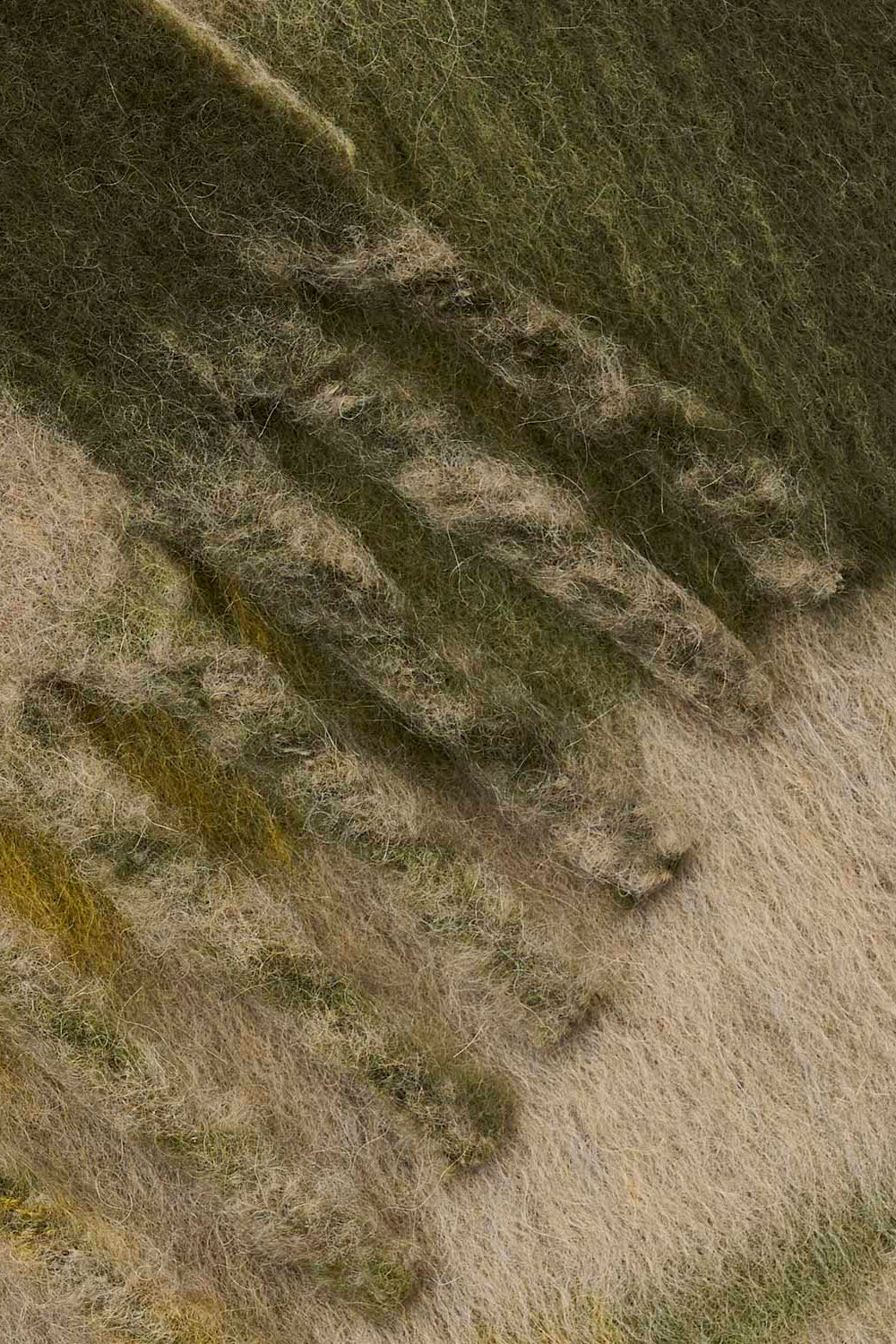 Écharpe en alpaga à logo loliana - Kaki - Man - 2