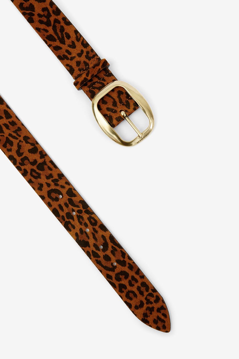 Cintura dara in pelle di vitello scamosciata - Leopard - Woman - 3
